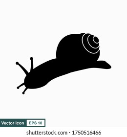 Caracol. Ilustración vectorial aislada en fondo blanco, diseño plano, estilo de dibujos animados.