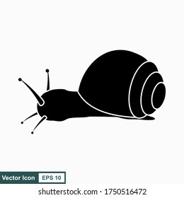 Snail. Vector illustration isolated on white background, flat design, cartoon style.