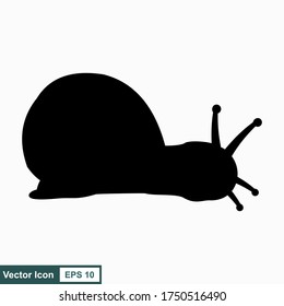 Snail. Vector illustration isolated on white background, flat design, cartoon style.