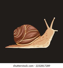Snail vector illustration isolated on dark background. Full colored drawing with simple flat color and shape of small animal. Brown snail pictogram.