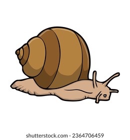 ilustración vectorial de caracol, aislada en fondo blanco, vista superior