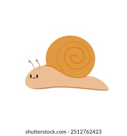 Snail vector. Snail on white background. Snail cartoon vector.