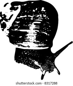 Snail Vector silhouette