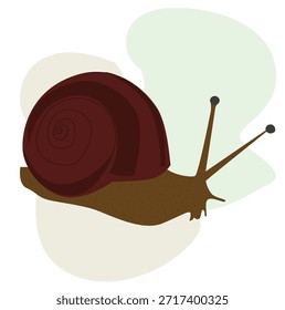 snail. snail in vector.Snail hand drawn.