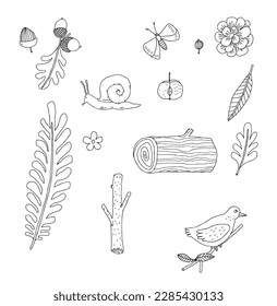 snail,leaf,bird and butterflie hand drawn black and white sketch with line art