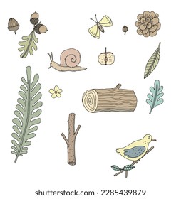 snail,leaf,bird and butterflie hand drawn vector set.