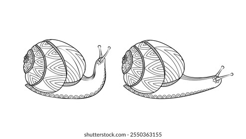 Schnecken schwarz-weiß Farben. Wirbellose Weichtiere.
