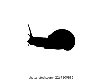 Los caracoles también se denominan Escargot Silhouette para logotipo, ilustración artística, aplicaciones, sitio web o elemento de diseño gráfico. Ilustración vectorial