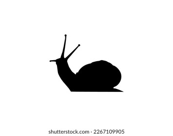 Snails are also called Escargot Silhouette for Logo, Art Illustration, Apps, Website or Graphic Design Element. Vector Illustration