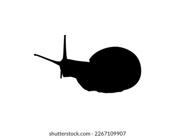Schnecken werden auch als Escargot Silhouette für Logo, Kunstillustration, Apps, Website oder Grafikdesign-Element bezeichnet. Vektorgrafik