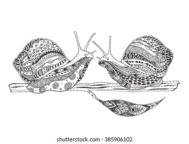 Snails couple. Hand-drawn snails with ethnic doodle pattern. Coloring page - zendala, for  relaxation and meditation for adults, vector illustration, isolated on a white background. Zen doodle.