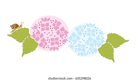 Snails and hydrangeas. Rain season.
