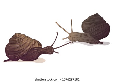 Snails. Illustration of an animal carrying a house on itself. Postcard, picture.
Vector image.