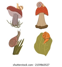 Snails mushrooms nature helix leafs forest 