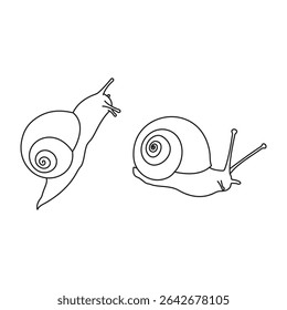 Snails outline vector illustration on white background 