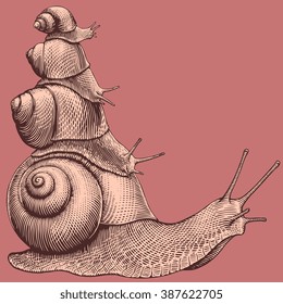 Snails. Pyramid. Hand drawn engraving. Vector vintage illustration. Isolated on color background. 8 EPS