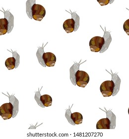 Snails seamless pattern. Snail on a white background