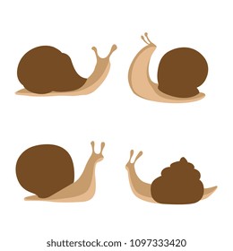 Snails. Vector illustration