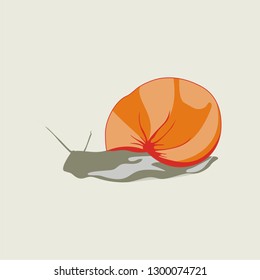 snail-shaped character, slug