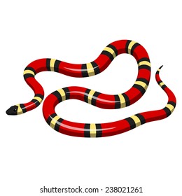 Snake