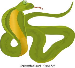 snake