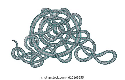 snake