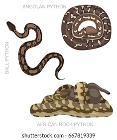 Snake African Python Set Cartoon Vector Illustration