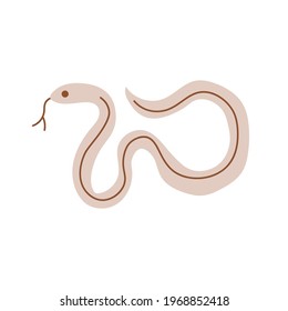 Snake albino isolated on white. Snakes elongated, legless, carnivorous reptiles. Wild West theme. Hand drawn colored trendy Vector isolated illustration.  Wildlife concept. 