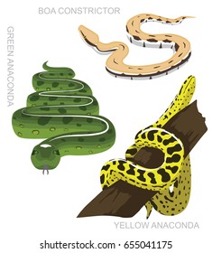 Snake Anaconda Set Cartoon Vector Illustration