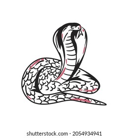 Snake animal on white background