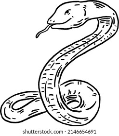 Snake animal symbol Zodiac year Hand drawn Line art Illustration