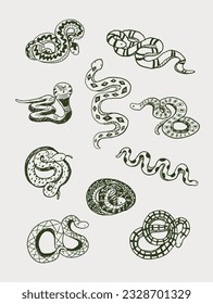 Snake animal vector illustrations set.