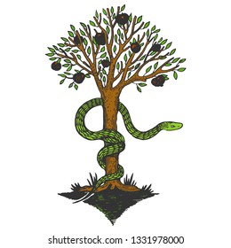 Snake and apple tree of life sketch color engraving vector illustration. Scratch board style imitation. Hand drawn image.