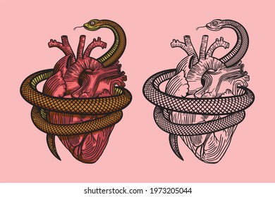 Snake around heart. Colorful vector illustration.