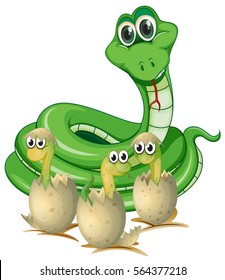 Snake and baby snakes in shells illustration