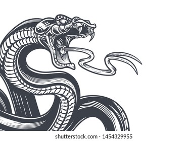 Snake background. Hand drawn vector illustration in engraving technique isolated on white.  