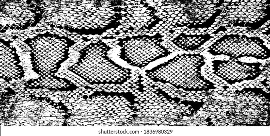 textura de fondo de serpiente repitiendo la piel de serpiente cutánea abstracta moderna. tela de patrón sin costura textil impresión gris blanco negro