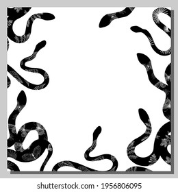 Snake. The background is white with black snakes. Frame. Exotic reptiles. Vector illustration
