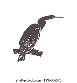 Snake bird design vector illustration, Creative Snake bird logo design concept template, symbols icons