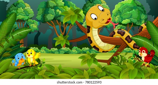 Snake with birds in the forest