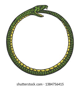 Snake bites itself color sketch engraving vector illustration. Scratch board style imitation. Black and white hand drawn image.