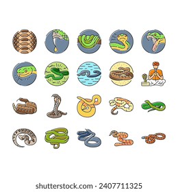 snake black serpent viper cobra icons set vector. python anaconda, animal tattoo, cute mamba, skin reptile, jungle wild snake black serpent viper cobra color line illustrations