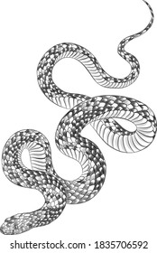 1,956 Anaconda sketch Images, Stock Photos & Vectors | Shutterstock