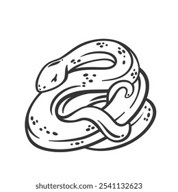 Serpiente con anillos de cuerpo icono de línea. Esquema dibujado a mano animal serpiente, reptil de fantasía esotérica vintage. Fauna silvestre, naturaleza, mascota de criatura espiritual, simple Ilustración vectorial de icono de serpiente en espiral salvaje