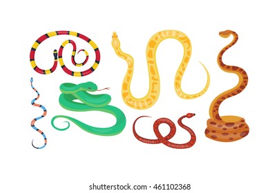 31,338 Snake character Images, Stock Photos & Vectors | Shutterstock