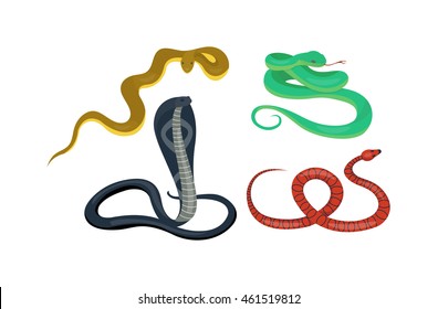 Snake character wildlife nature viper