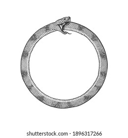 Snake circle. Can be used as a sketch of a tattoo.