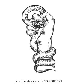 Snake clenched in hand fist engraving vector illustration. Scratch board style imitation. Black and white hand drawn image.