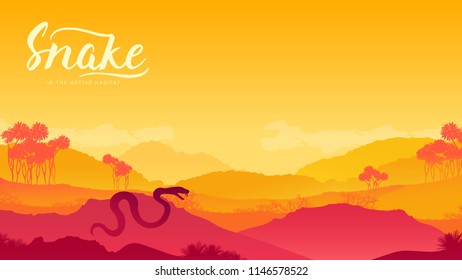 Snake climbed out to bask in the sun background. Dangerous predator in the desert traces a victim design. Reptile to prepare for attack illustration