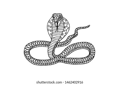 snake cobra graphic patterns. eps10 vector illustration. hand drawing